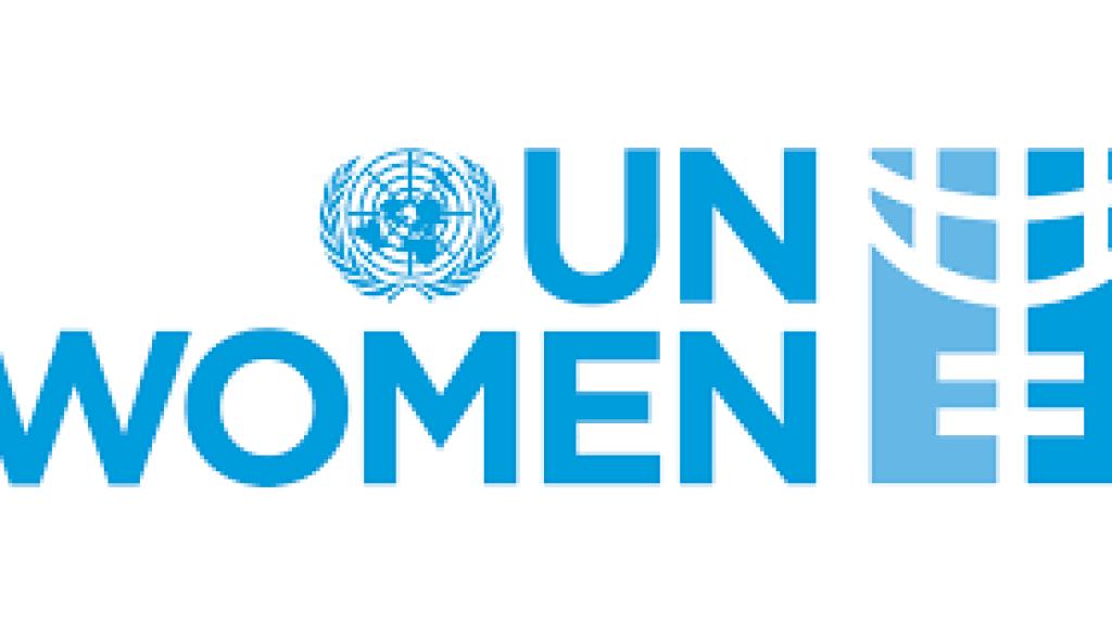 National Consultant Gender Expert Vacancy-Job Ref: EJAMUNWOMEN/0909/202662